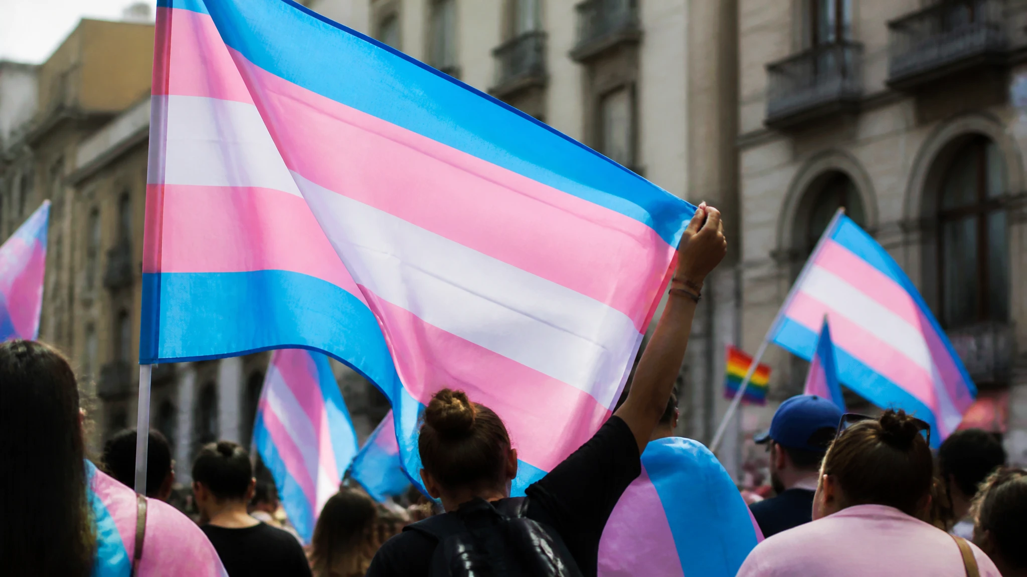 Drapeaux transgenres : histoire, couleurs et rôle dans la visibilité